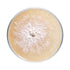 Lion's Mane Mushroom Plate Culture